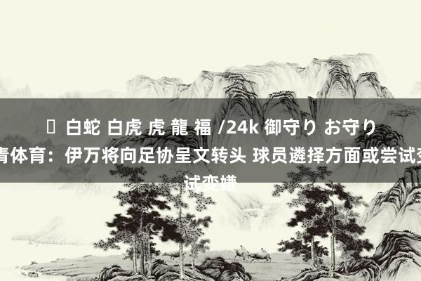 ✨白蛇 白虎 虎 龍 福 /24k 御守り お守り 北青体育：伊万将向足协呈文转头 球员遴择方面或尝试变嫌